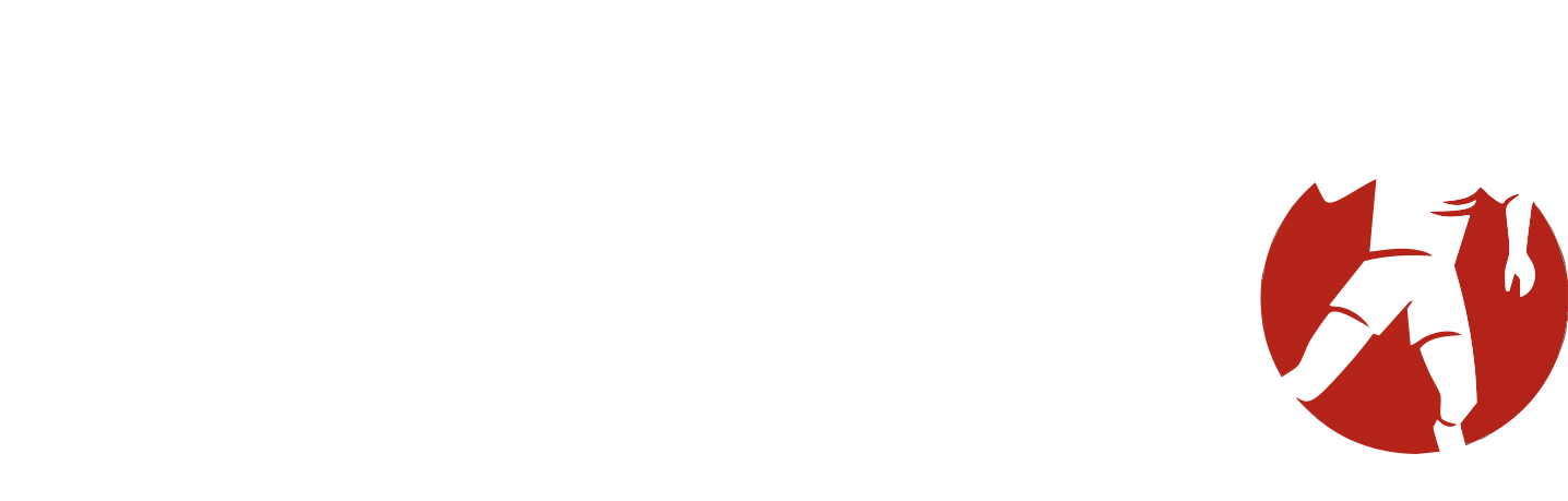 Grupo Kempa Store